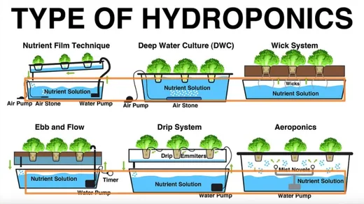 Figure 2 — Types of hydroponic system