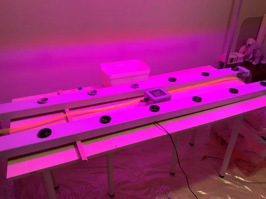 Figure 9 — Hydroponic growing pipe